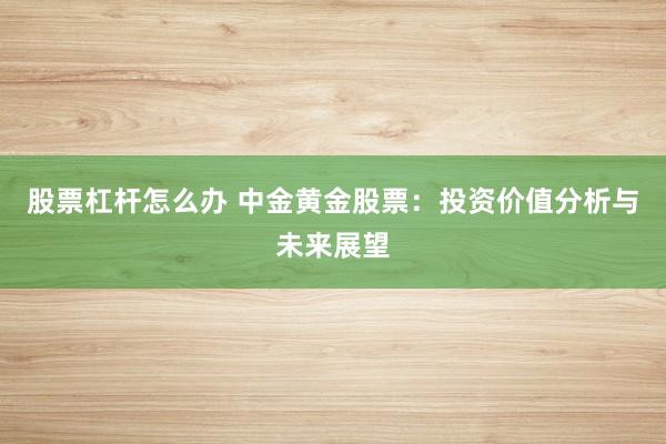 股票杠杆怎么办 中金黄金股票：投资价值分析与未来展望