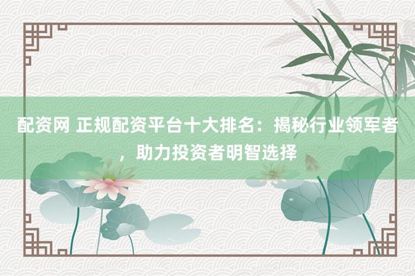配资网 正规配资平台十大排名：揭秘行业领军者，助力投资者明智选择