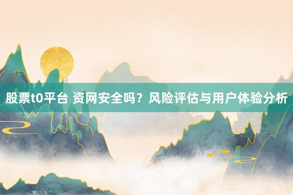 股票t0平台 资网安全吗？风险评估与用户体验分析