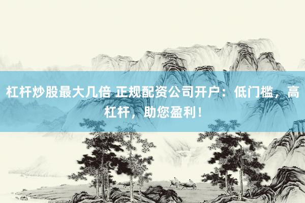 杠杆炒股最大几倍 正规配资公司开户：低门槛，高杠杆，助您盈利！