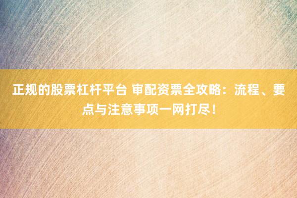 正规的股票杠杆平台 审配资票全攻略：流程、要点与注意事项一网打尽！