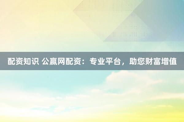 配资知识 公赢网配资：专业平台，助您财富增值
