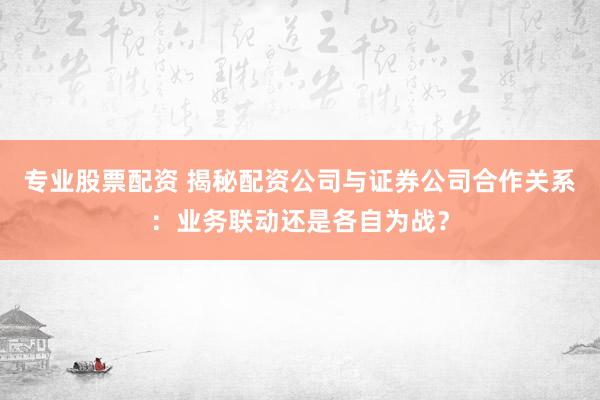 专业股票配资 揭秘配资公司与证券公司合作关系：业务联动还是各自为战？