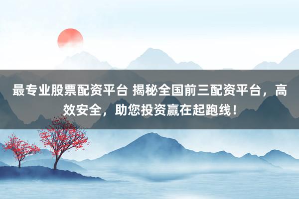 最专业股票配资平台 揭秘全国前三配资平台，高效安全，助您投资赢在起跑线！