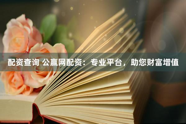 配资查询 公赢网配资：专业平台，助您财富增值