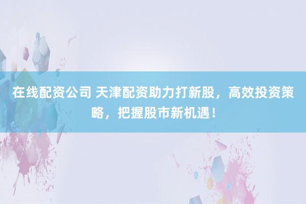 在线配资公司 天津配资助力打新股，高效投资策略，把握股市新机遇！