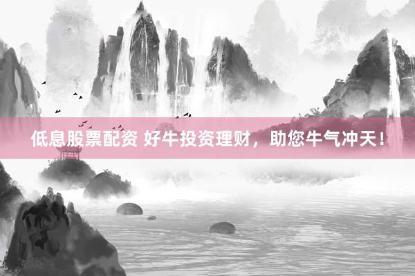 低息股票配资 好牛投资理财，助您牛气冲天！