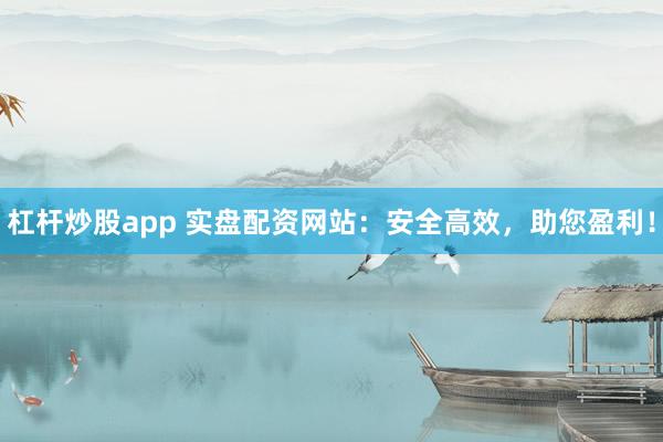 杠杆炒股app 实盘配资网站：安全高效，助您盈利！