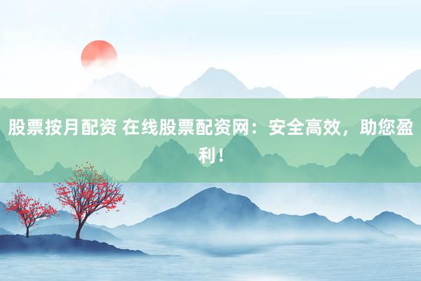 股票按月配资 在线股票配资网：安全高效，助您盈利！