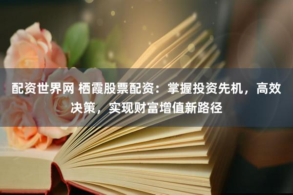 配资世界网 栖霞股票配资:掌握投资先机,高效决策,实现财富增值新路径