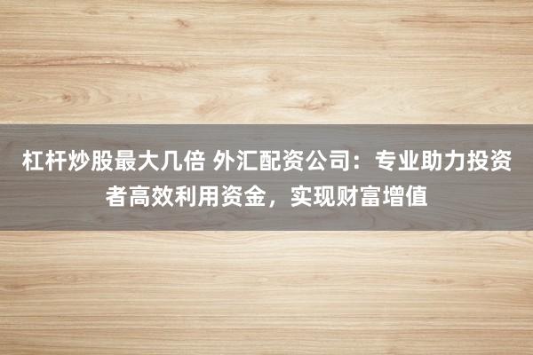 杠杆炒股最大几倍 外汇配资公司：专业助力投资者高效利用资金，实现财富增值
