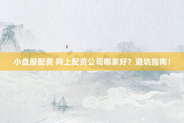 小盘股配资 网上配资公司哪家好？避坑指南！
