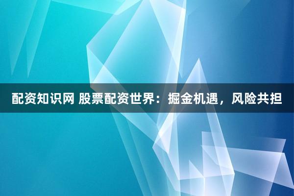 配资知识网 股票配资世界：掘金机遇，风险共担