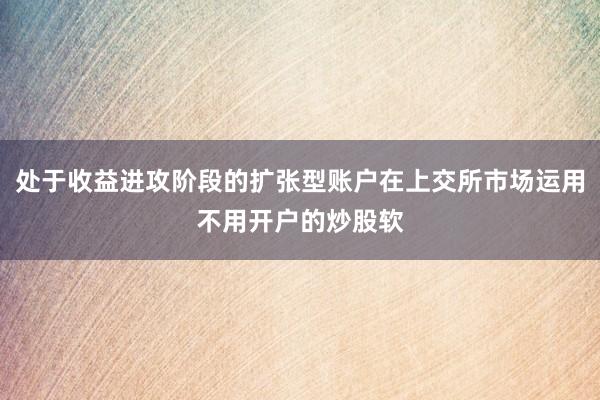 处于收益进攻阶段的扩张型账户在上交所市场运用不用开户的炒股软