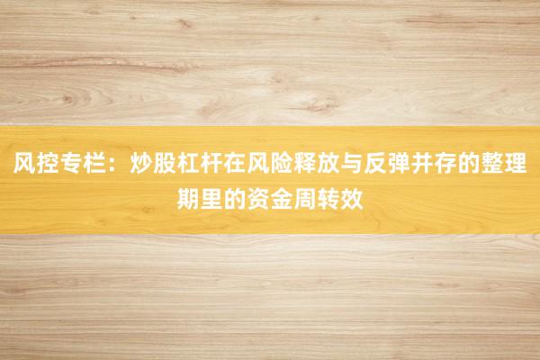 风控专栏：炒股杠杆在风险释放与反弹并存的整理期里的资金周转效