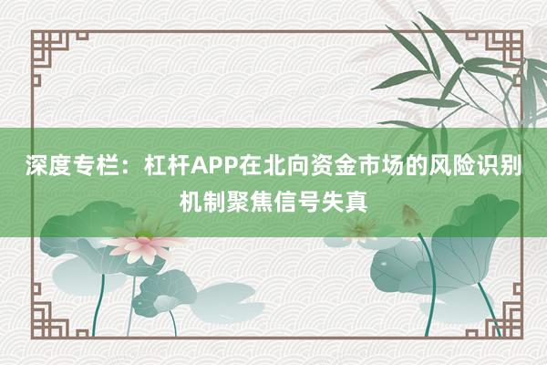 深度专栏：杠杆APP在北向资金市场的风险识别机制聚焦信号失真