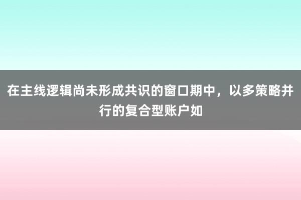 在主线逻辑尚未形成共识的窗口期中，以多策略并行的复合型账户如