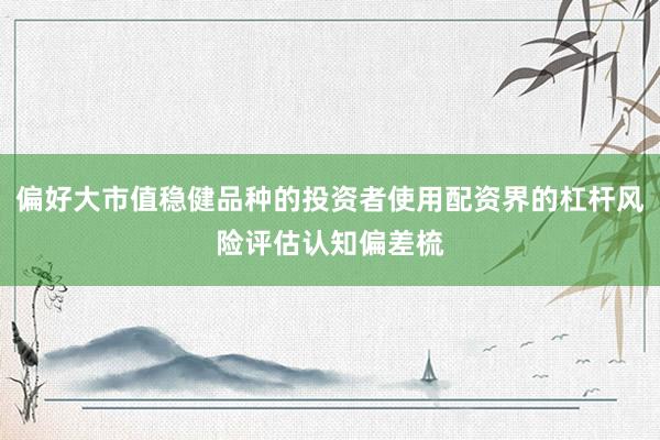偏好大市值稳健品种的投资者使用配资界的杠杆风险评估认知偏差梳