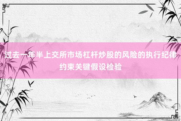 过去一年半上交所市场杠杆炒股的风险的执行纪律约束关键假设检验