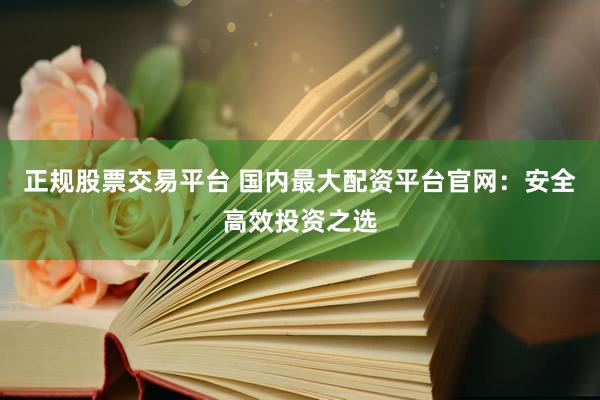 正规股票交易平台 国内最大配资平台官网：安全高效投资之选