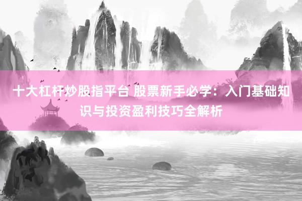 十大杠杆炒股指平台 股票新手必学：入门基础知识与投资盈利技巧全解析
