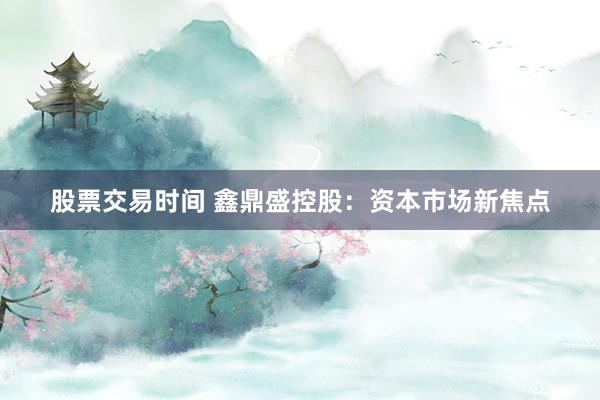 股票交易时间 鑫鼎盛控股：资本市场新焦点