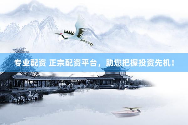 专业配资 正宗配资平台，助您把握投资先机！
