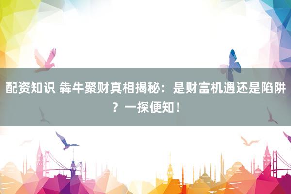 配资知识 犇牛聚财真相揭秘:是财富机遇还是陷阱?一探便知!