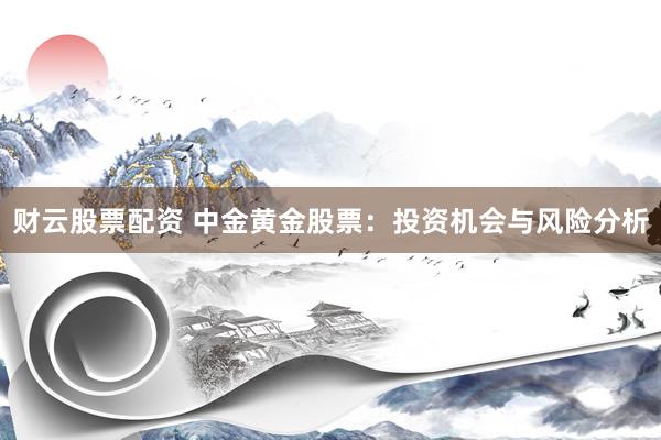 财云股票配资 中金黄金股票：投资机会与风险分析