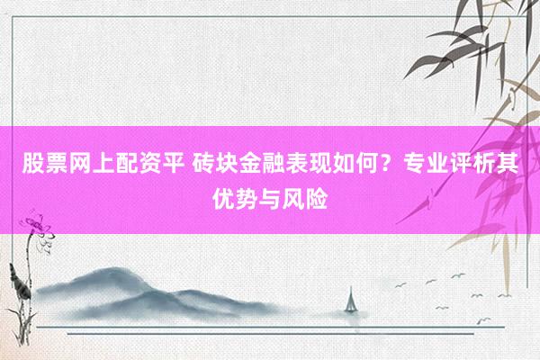 股票网上配资平 砖块金融表现如何？专业评析其优势与风险